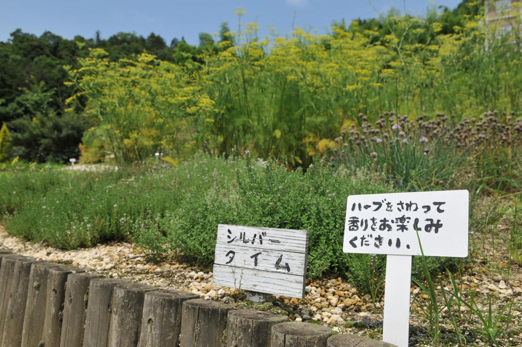 فندق هاشيداتيه باي Yosano المظهر الخارجي الصورة
